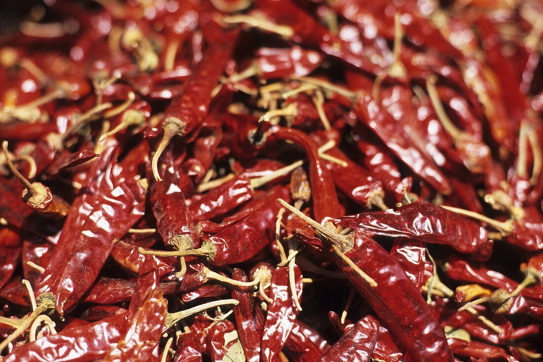 Red chillies (full-frame)