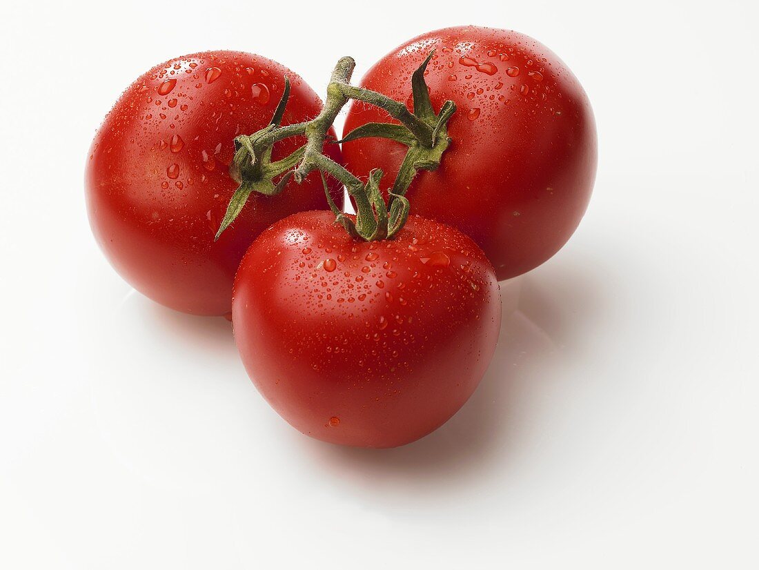 Three tomatoes with drops of water