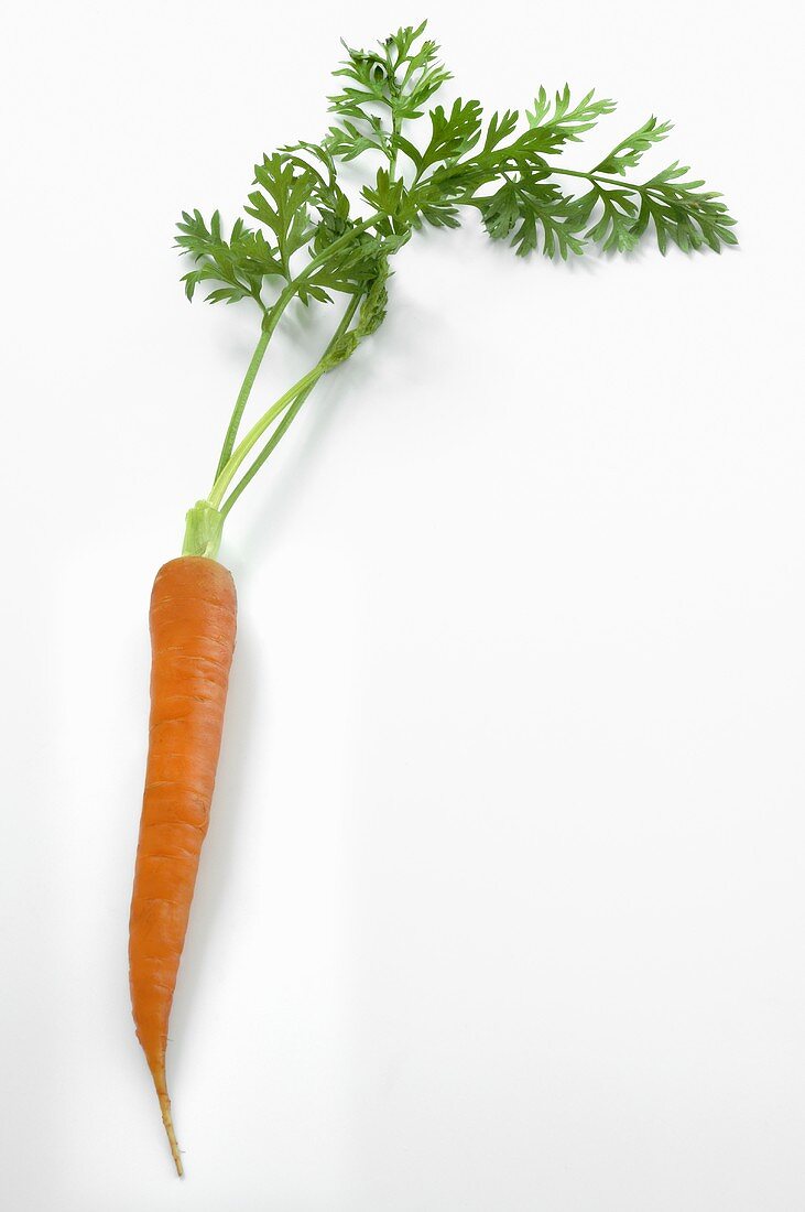 Eine Karotte mit Grün