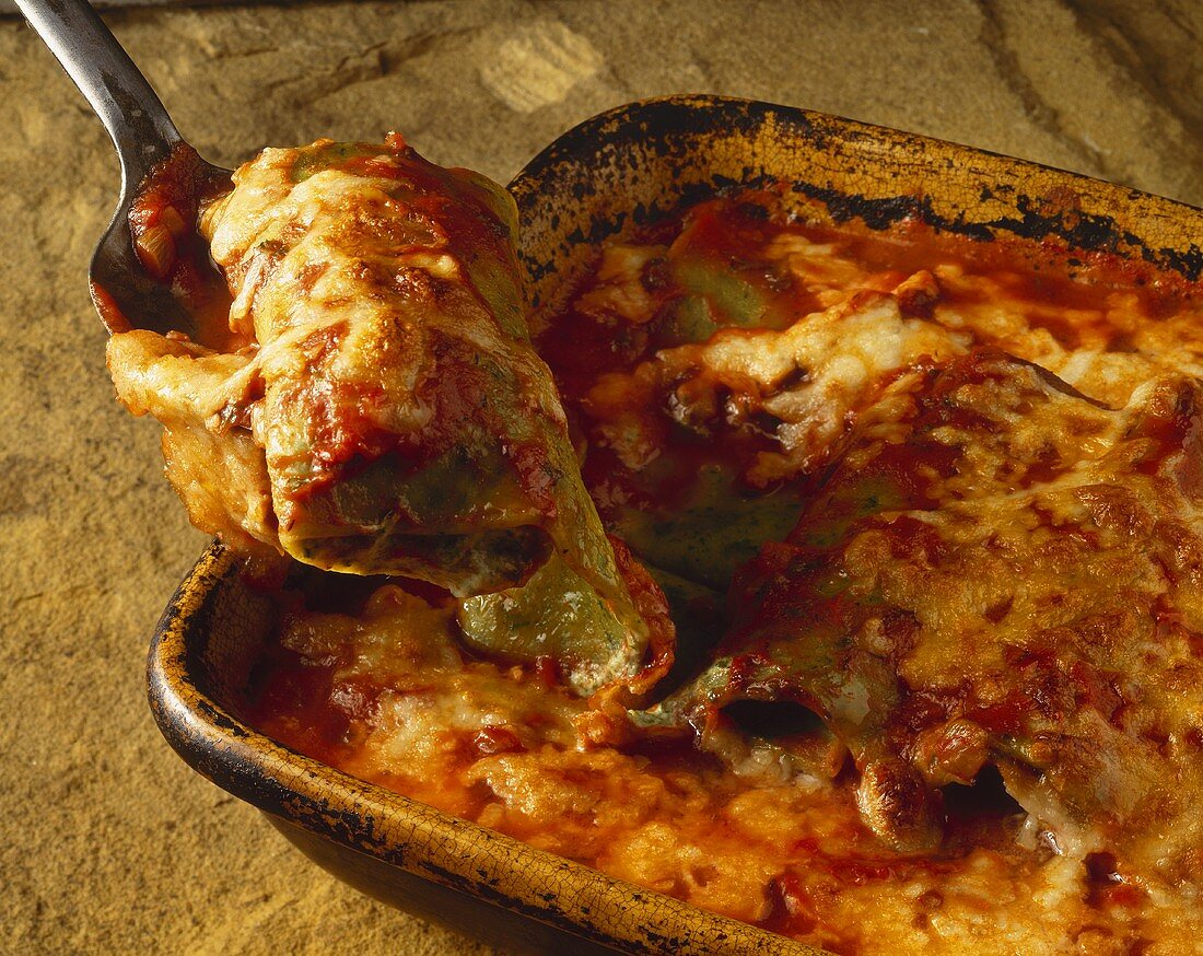 Cannelloni with a spinach filling