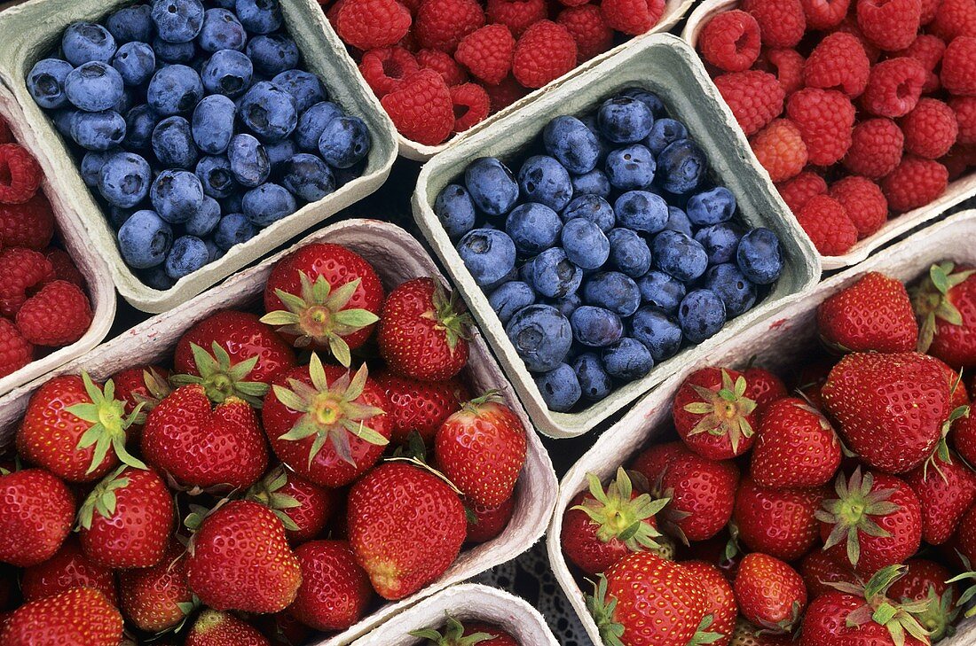 Erdbeeren, Heidelbeeren und Himbeeren in Pappschälchen