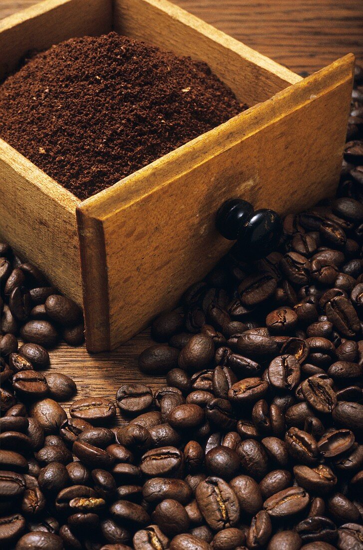 Coffee beans and freshly ground coffee