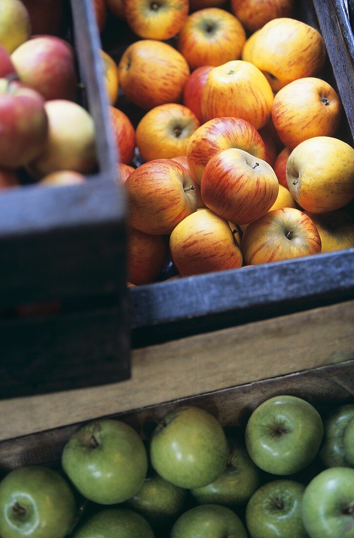 Different kinds of apples in crates