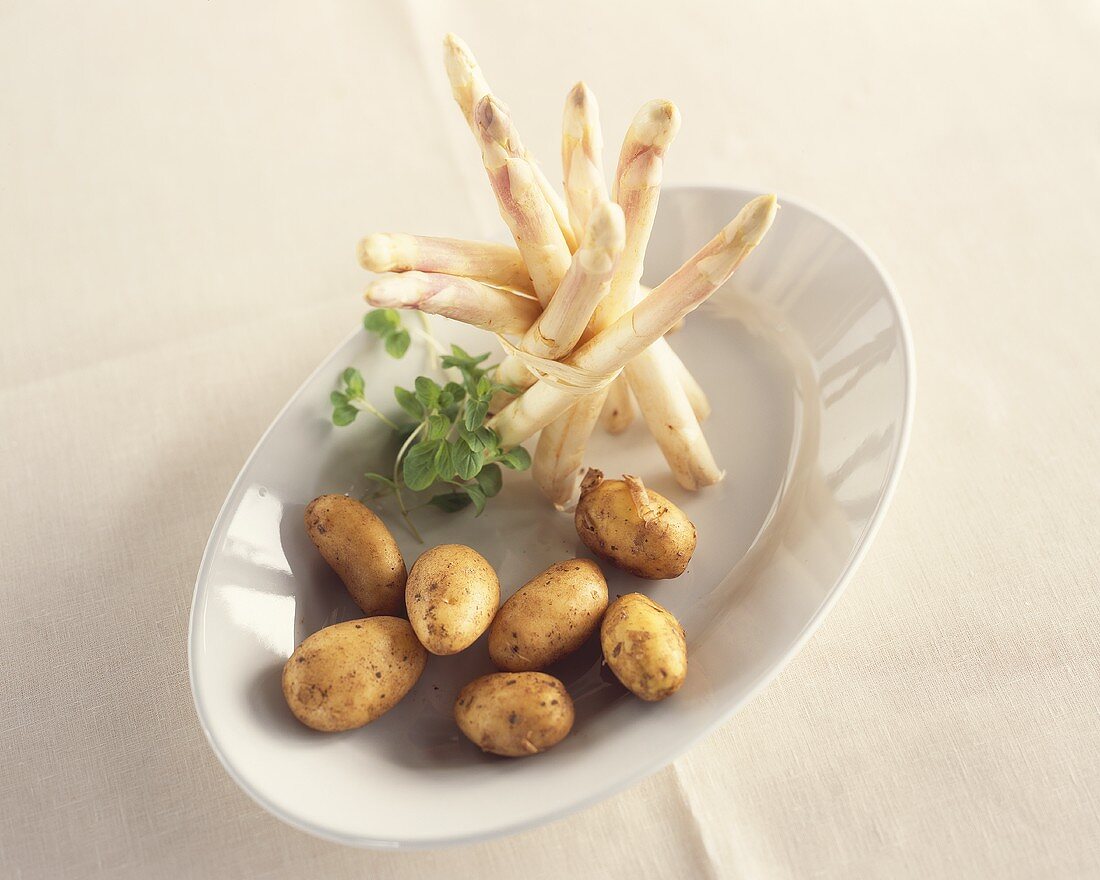 Asparagus and potatoes on plate