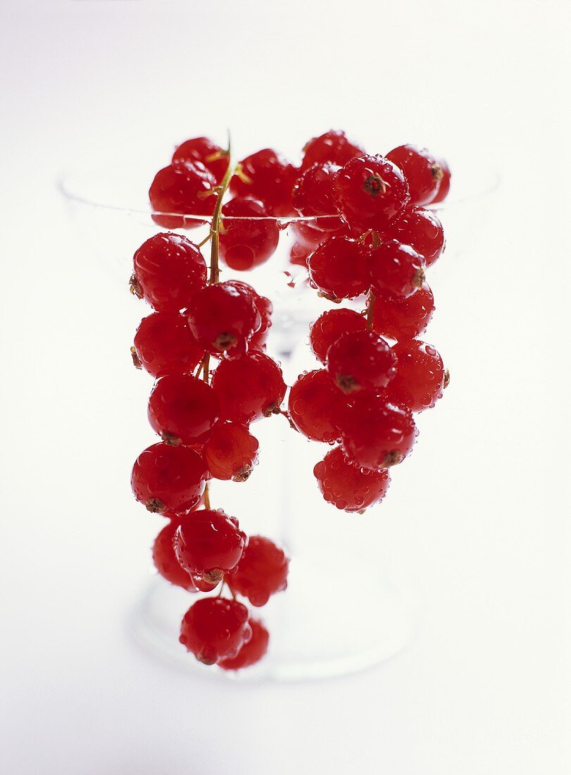 Redcurrants hanging over the rim of a glass