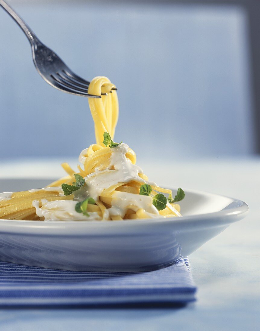 Thin ribbon pasta with cream sauce and mint