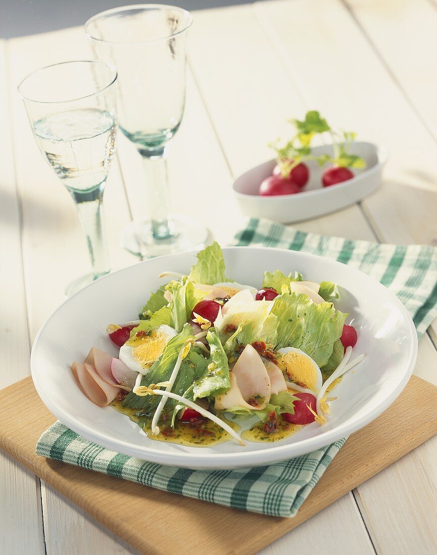 Plate of salad: iceberg lettuce, egg, radishes and ham