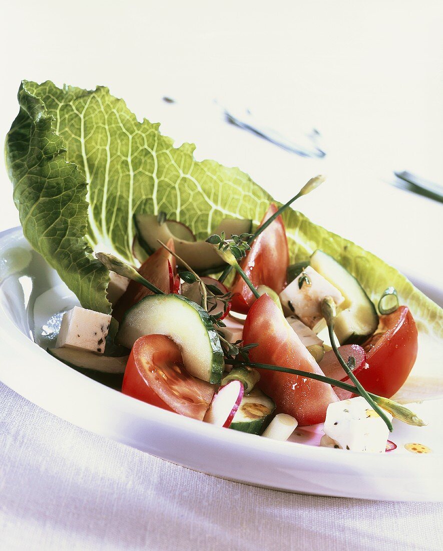 Tomaten-Gurken-Salat mit Feta