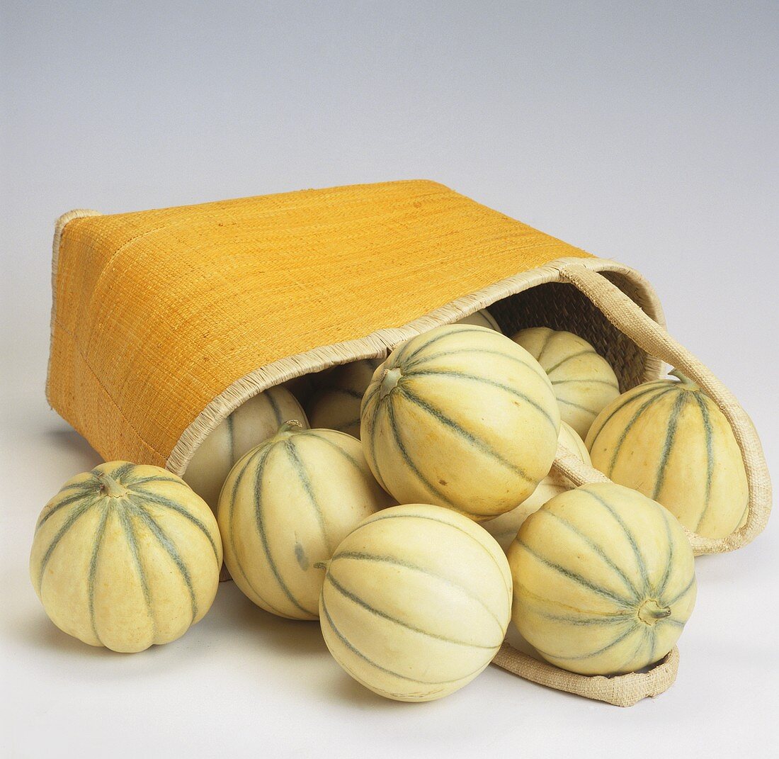 Charentais melons in and spilling out of bag