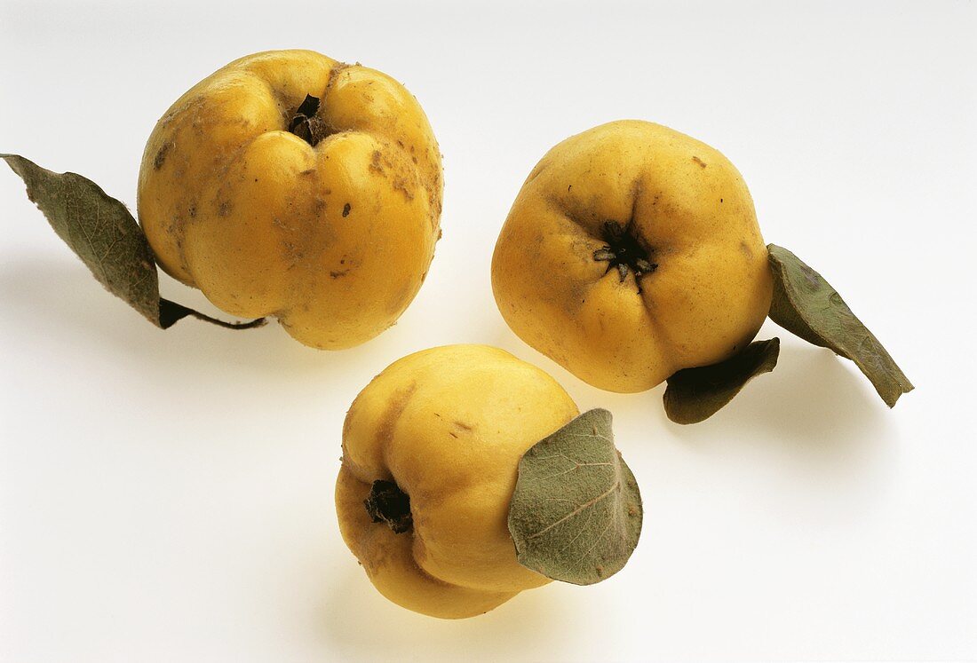 Three quinces