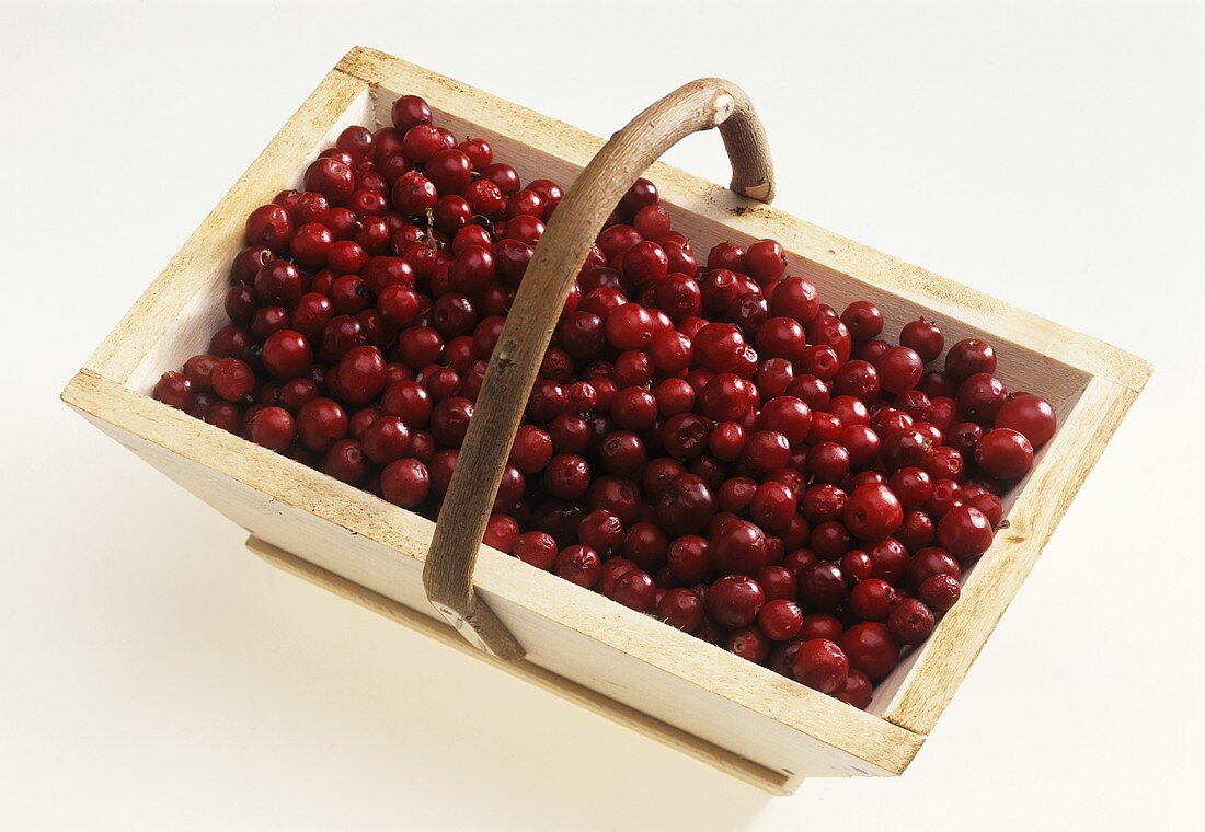 Fresh cranberries in a wooden basket