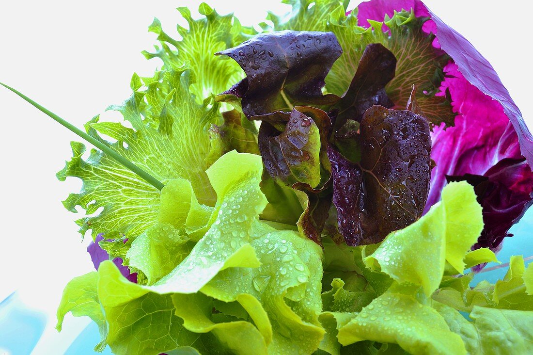 A mixed leaf salad with chives