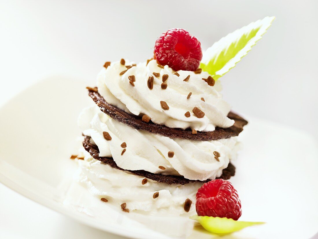 Chocolate wafer and cream fancy garnished with raspberries