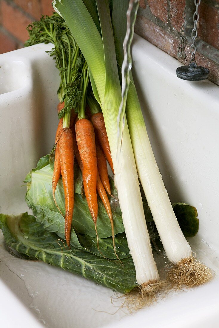 Gemüse (Lauch, Möhren, Spitzkohl) im Spülbecken waschen