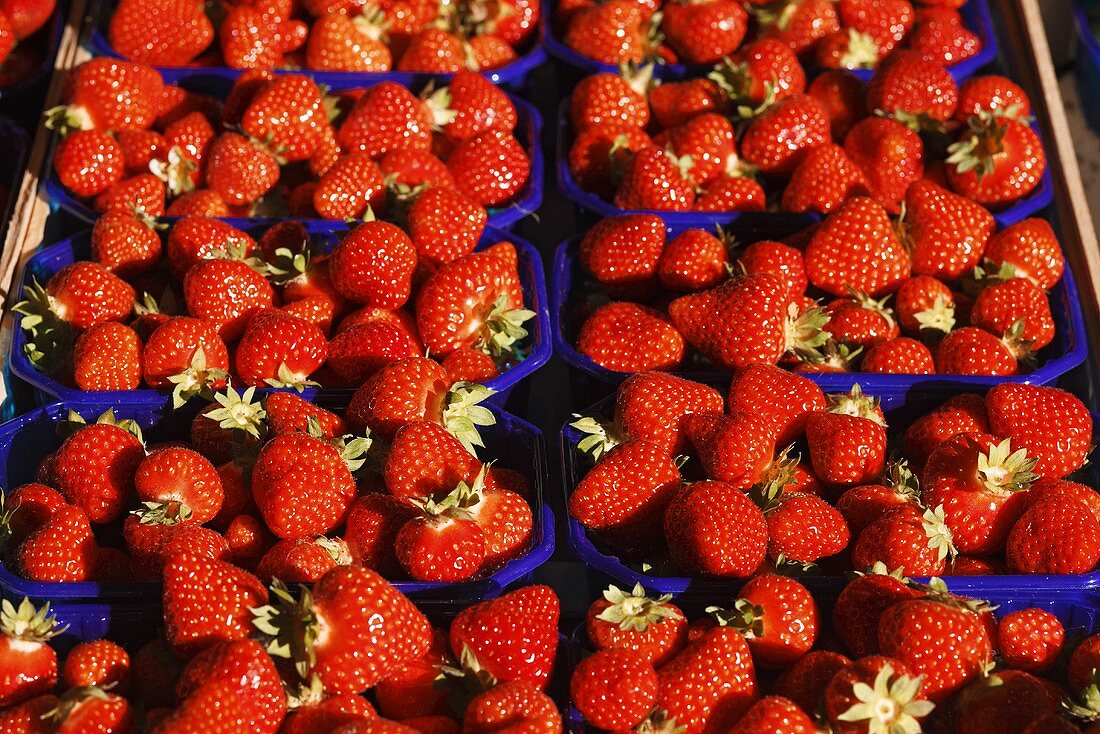 Strawberries in plastic punnets at a market