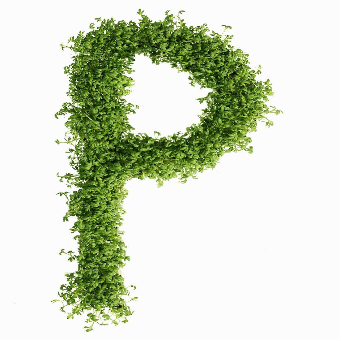 The letter P in cress