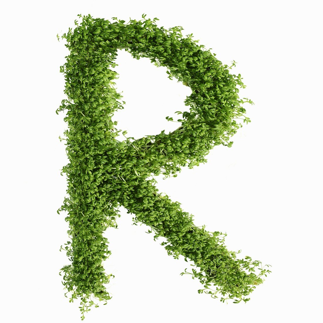 The letter R in cress