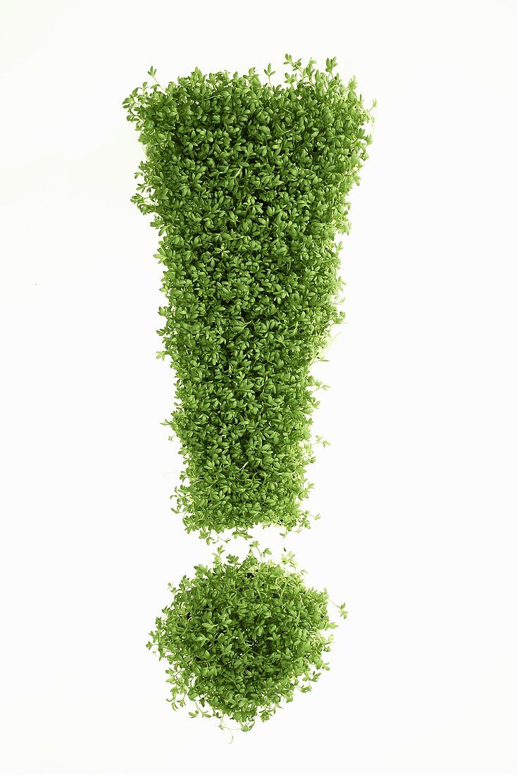 ! (exclamation mark) in cress