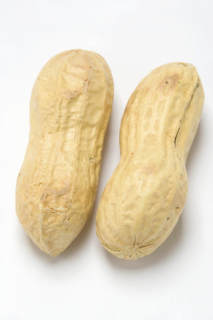 Two unshelled peanuts