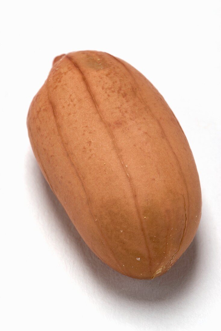 Peanut Single