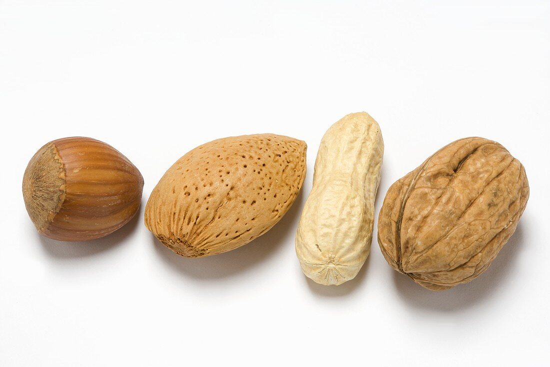 Hazelnut, almond, peanut and walnut (in a row)
