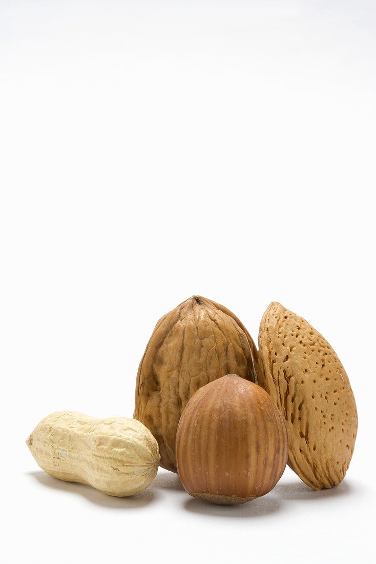 Peanut, walnut, hazelnut, almond