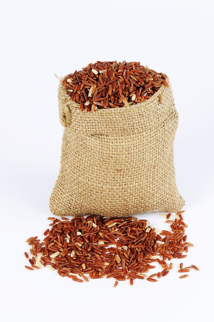 Whole-grain red rice (Oryza sativa)