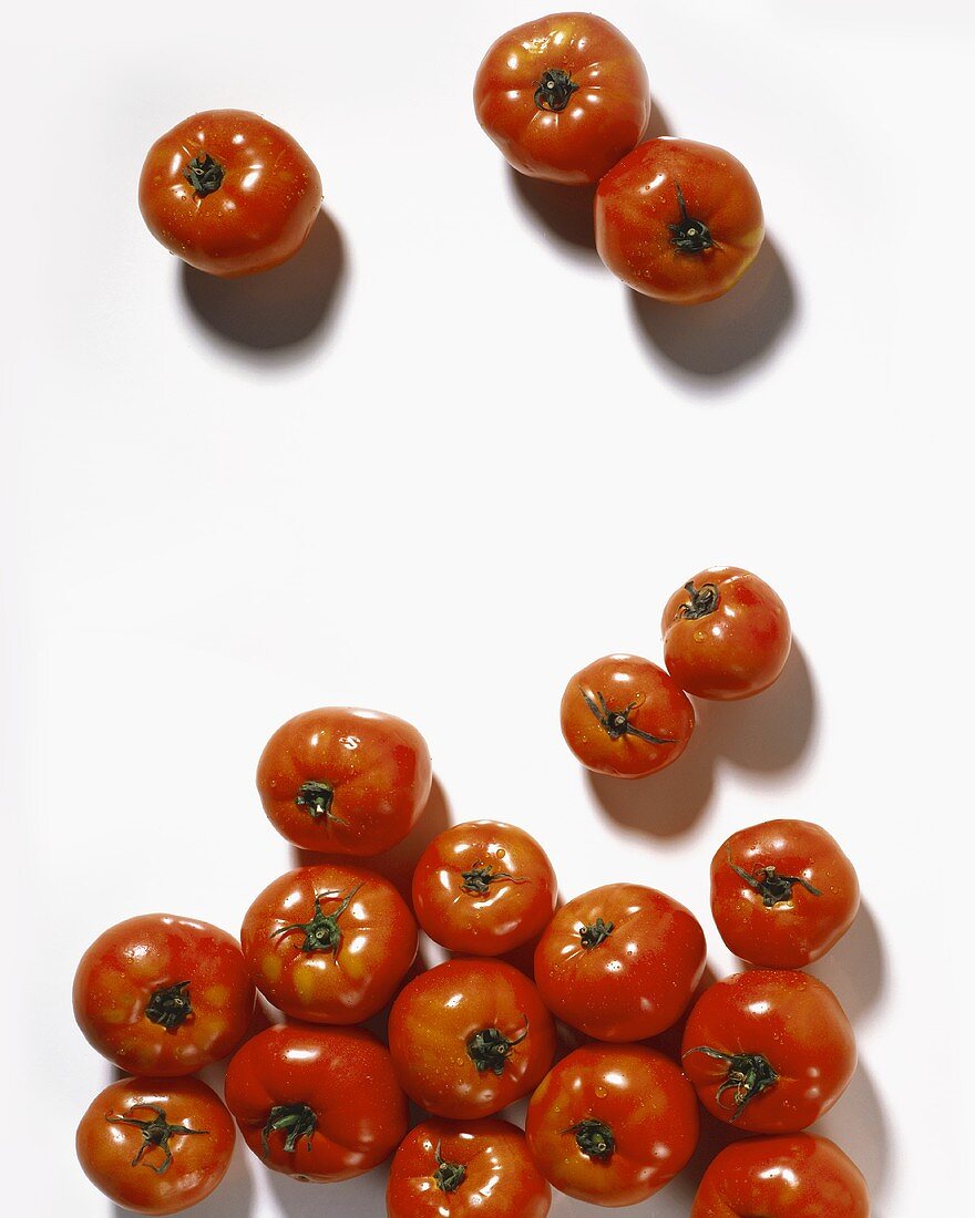 Many Red Tomatoes on White Background