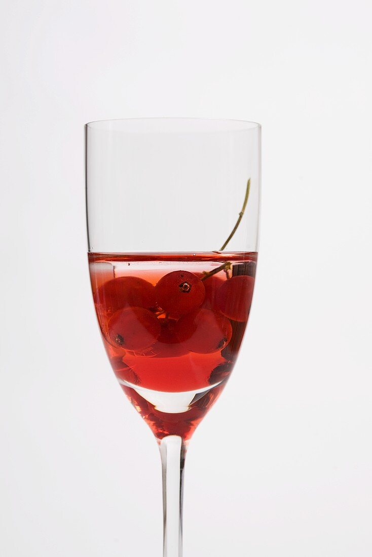 Redcurrant cocktail