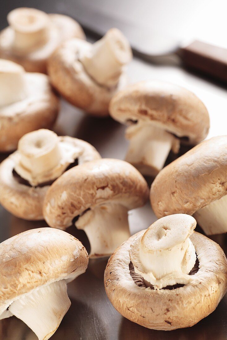 Several fresh button mushrooms