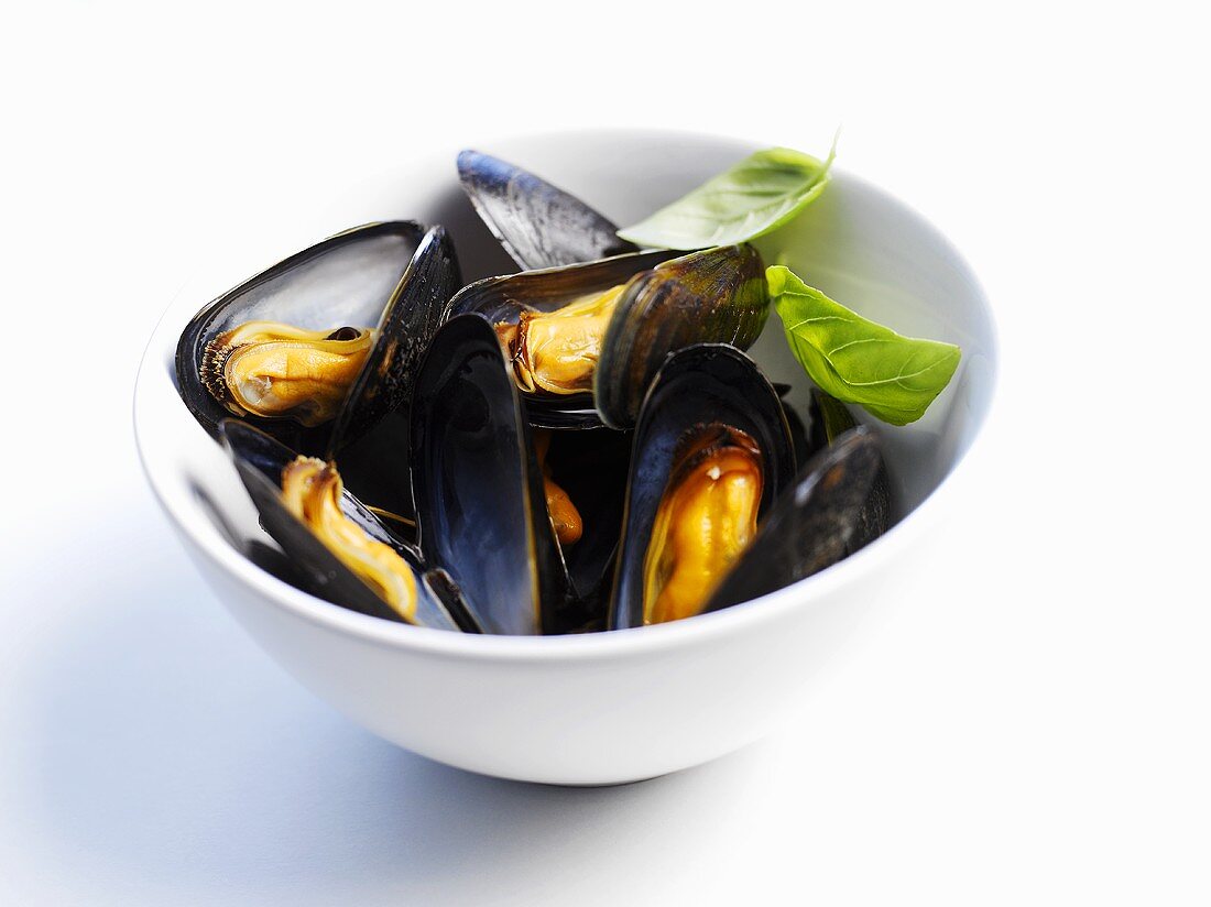 Mussels in a bowl