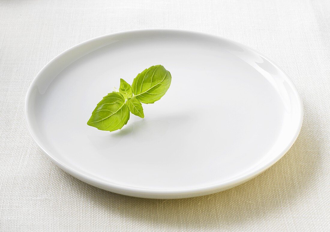Basil leaves on a plate