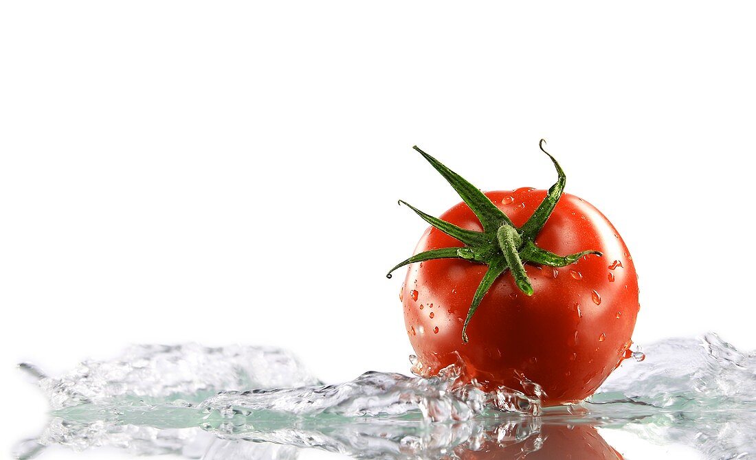 Tomate, von Wasser umspült