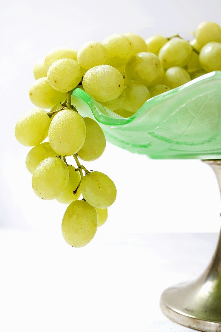 Green grapes in a fruit boal