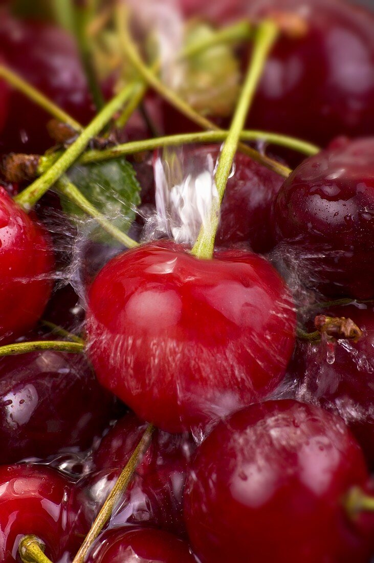 Cherries with a splash of water