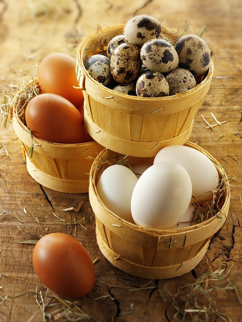 Chicken eggs and quail eggs in a basket