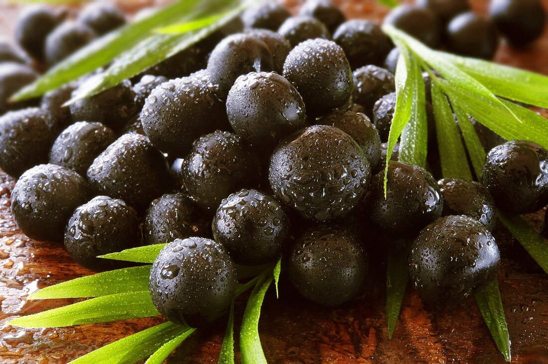 Acai berries with leaves