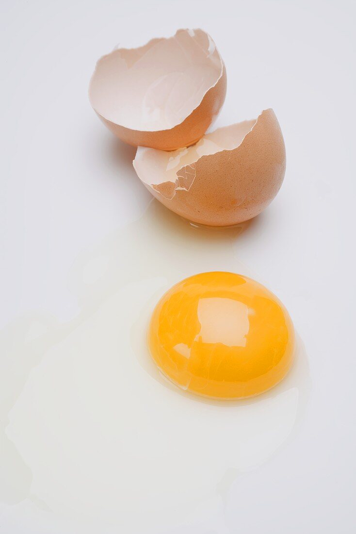 Aufgeschlagenes Ei (Eigelb und Eierschalen)