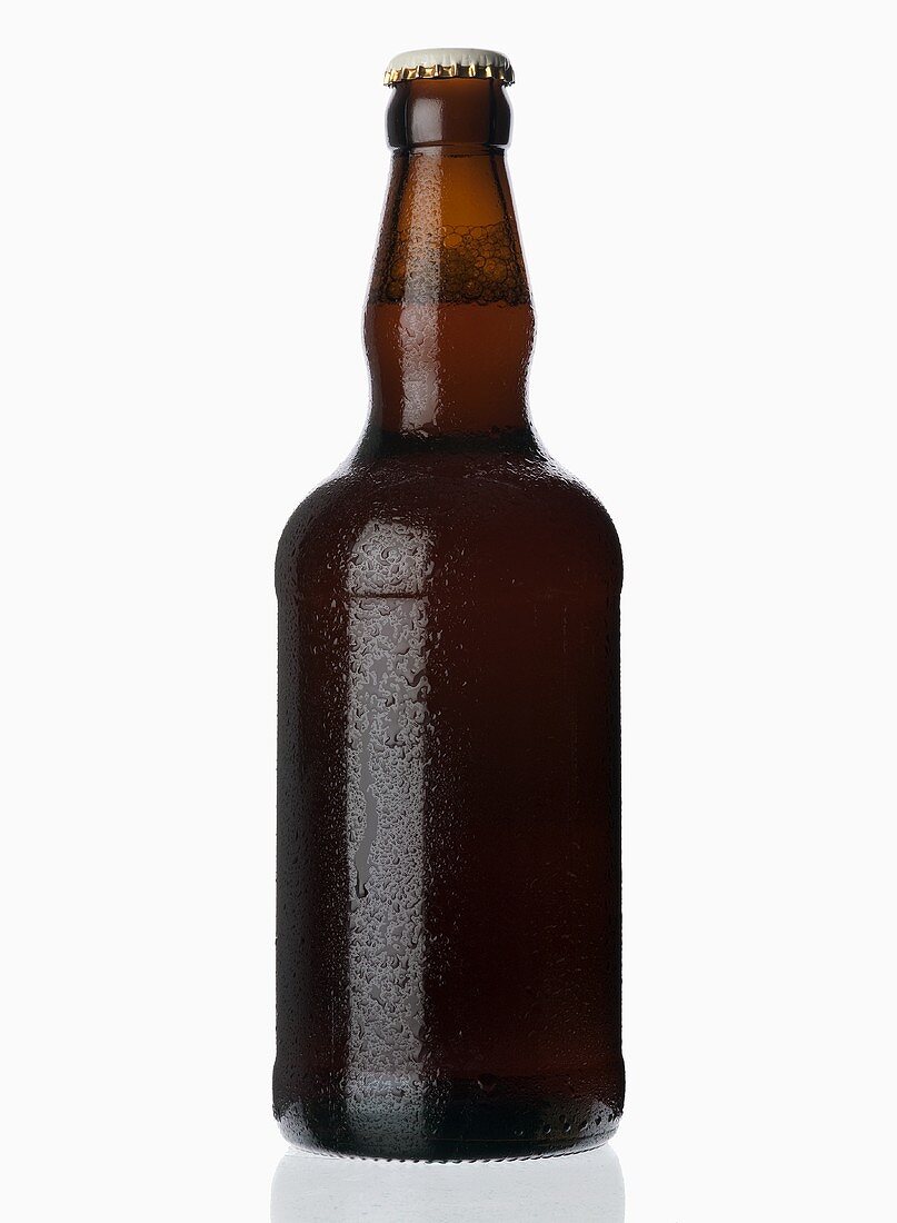 Eine gekühlte Flasche Bier (Ale)