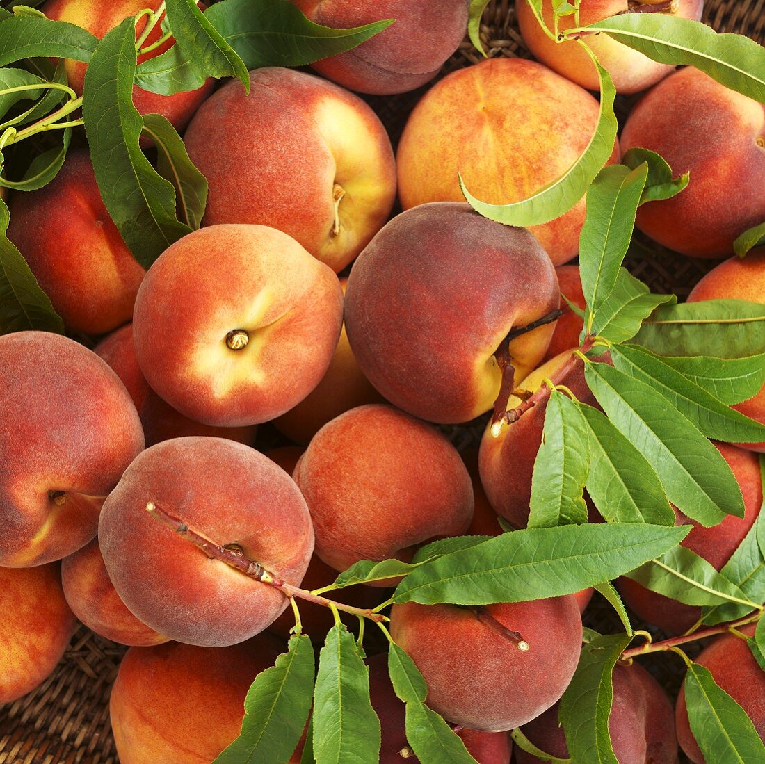 Organic peaches in a basket (close-up)