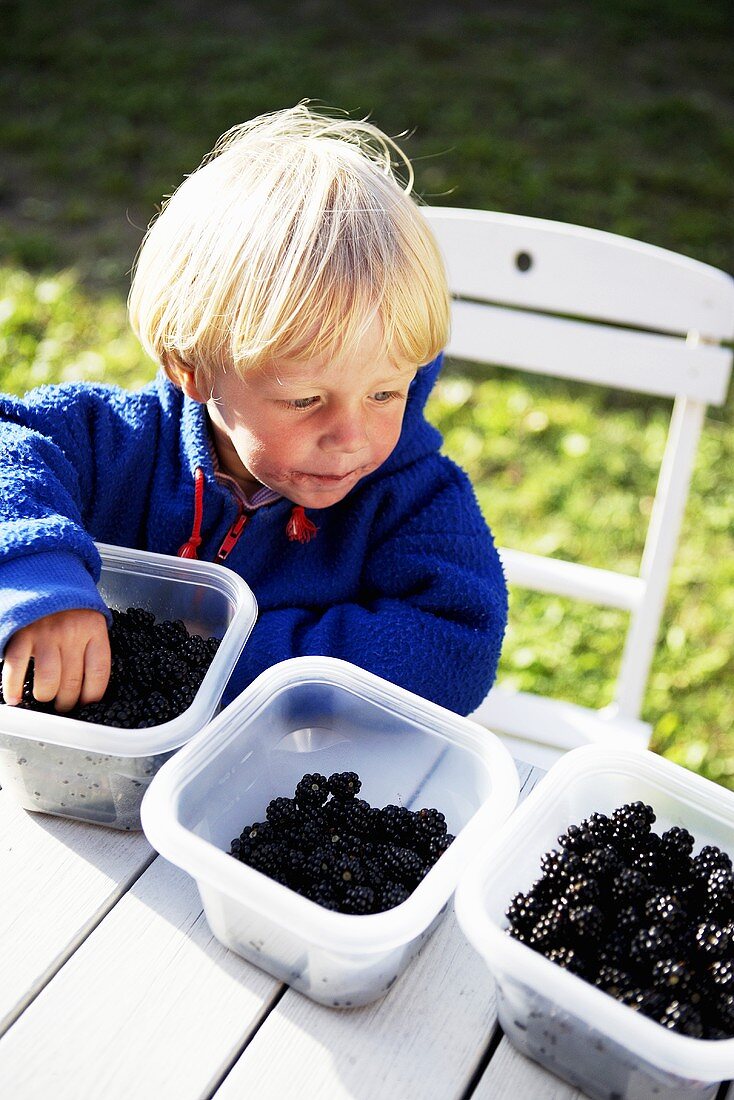 Little boy eating blackberries out of plastic container (outdoors)