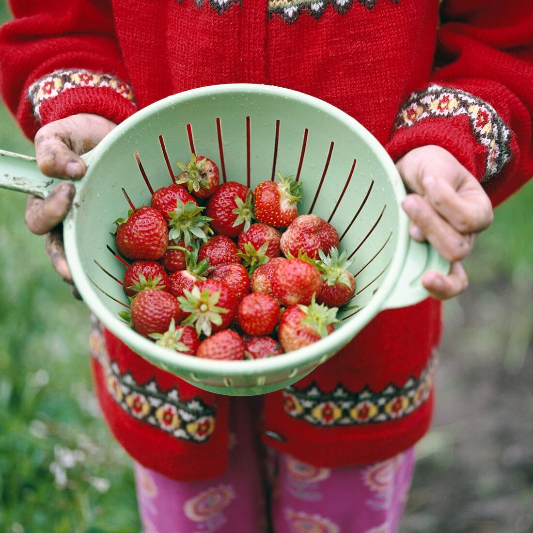 Mädchen hält Erdbeeren im Plastiksieb