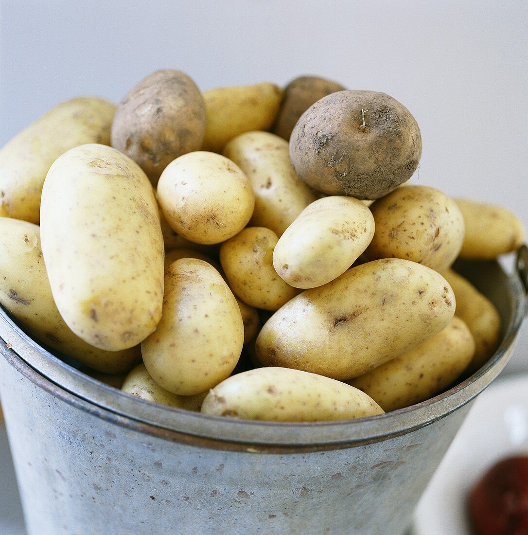 Viele Kartoffeln im Eimer