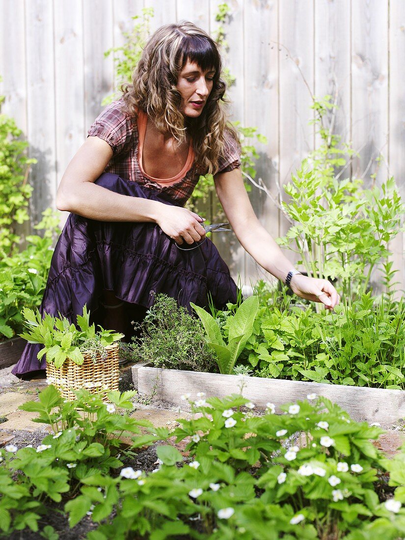 Frau sammelt Kräuter im Garten