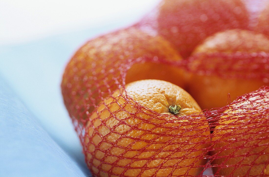Oranges in net, close-up