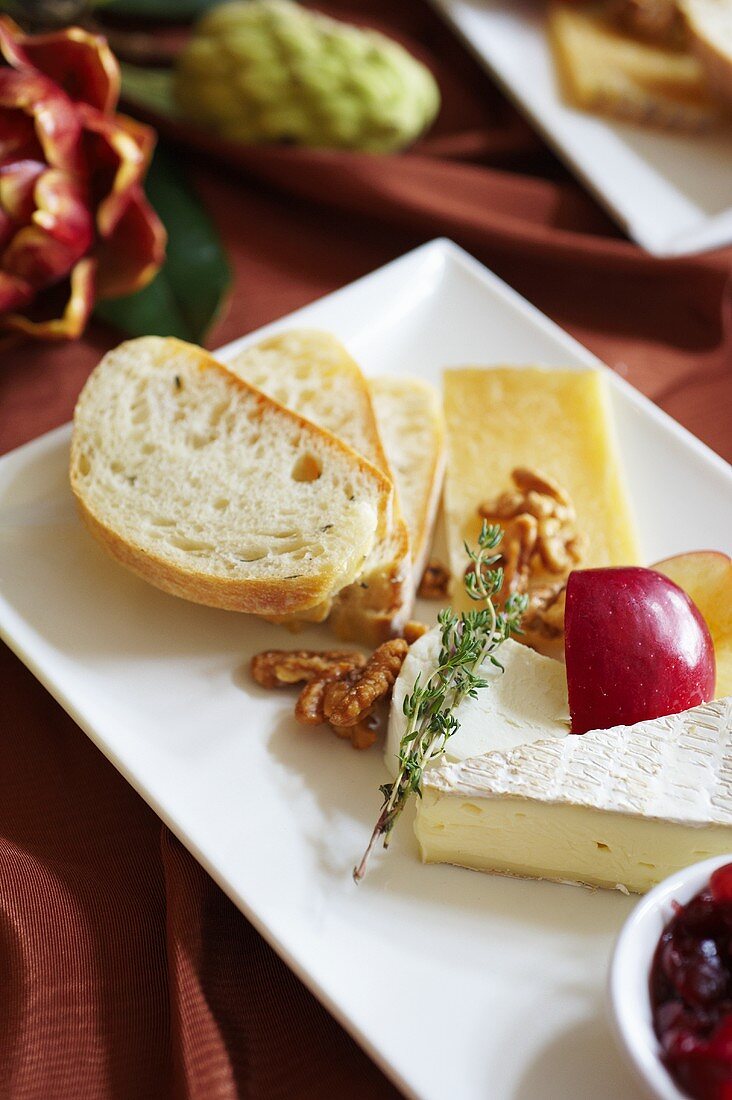 Cheese Plate with Nuts and Bread