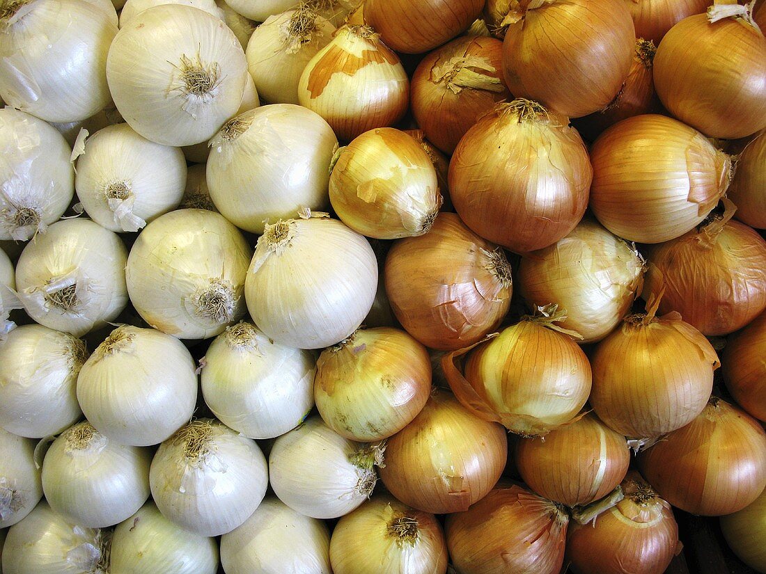 weiße und braune Zwiebeln auf einem Markt (bildfüllend)