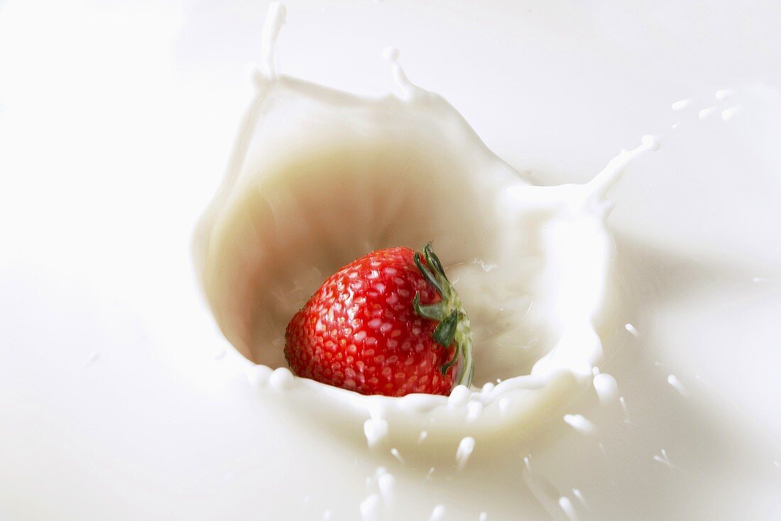 Strawberry splashing into milk