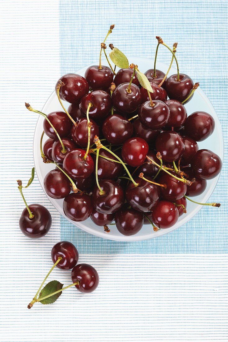 Sour cherries in dish (overhead view)