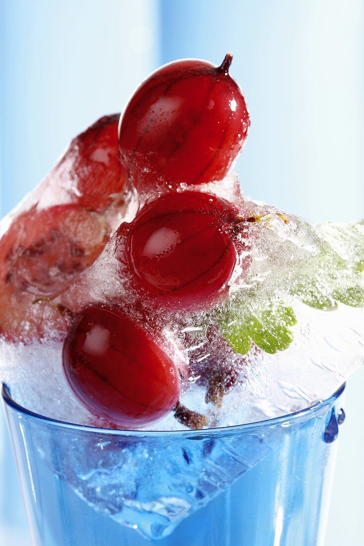 Red gooseberries in block of ice